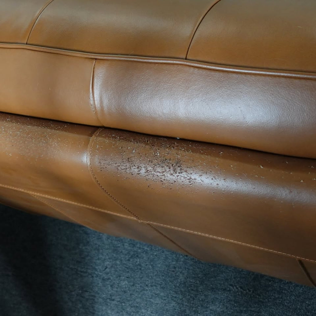 Used Prospera Home Barcelona Top-grain Leather Sofa and Two Chairs