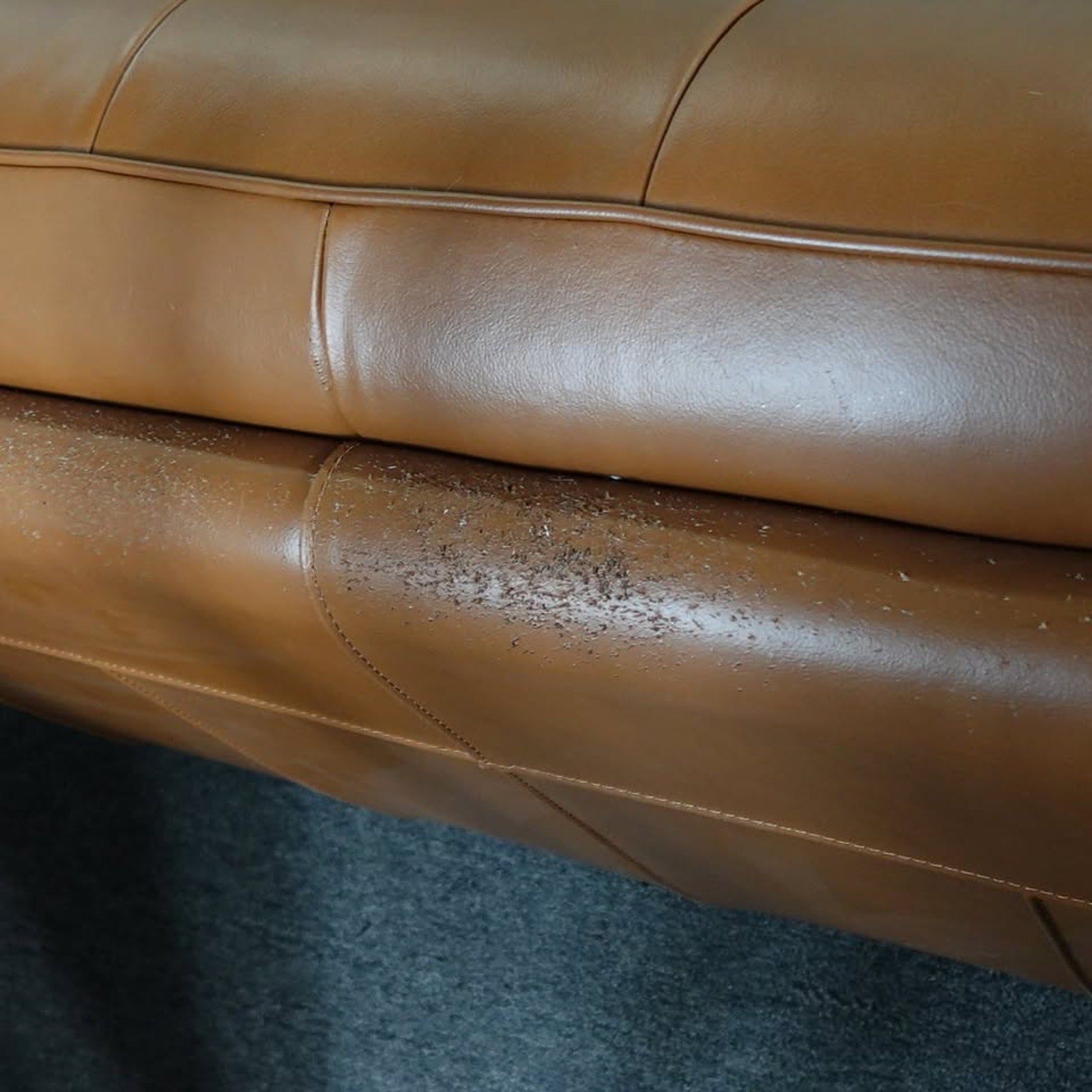 Used Prospera Home Barcelona Top-grain Leather Sofa and Two Chairs