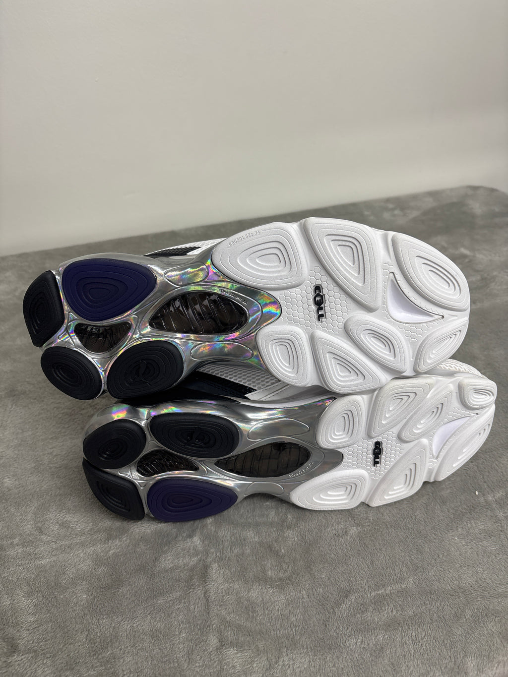 Puma Cell dome galaxy