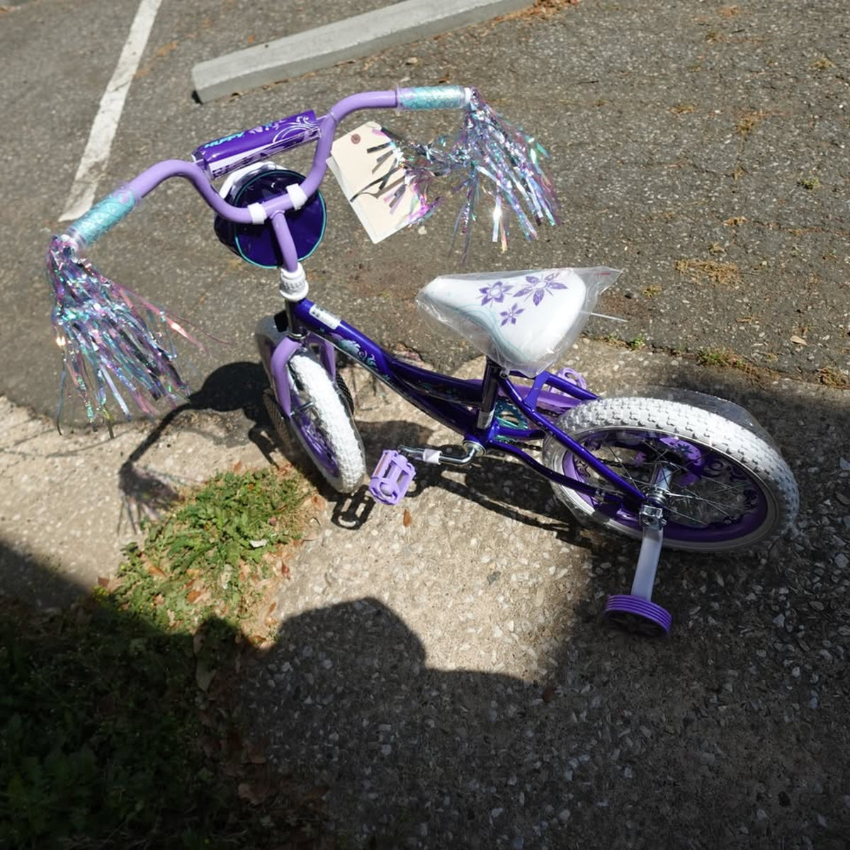 Huffy 16'' Disney Raya and the Last Dragon Bike for Kids